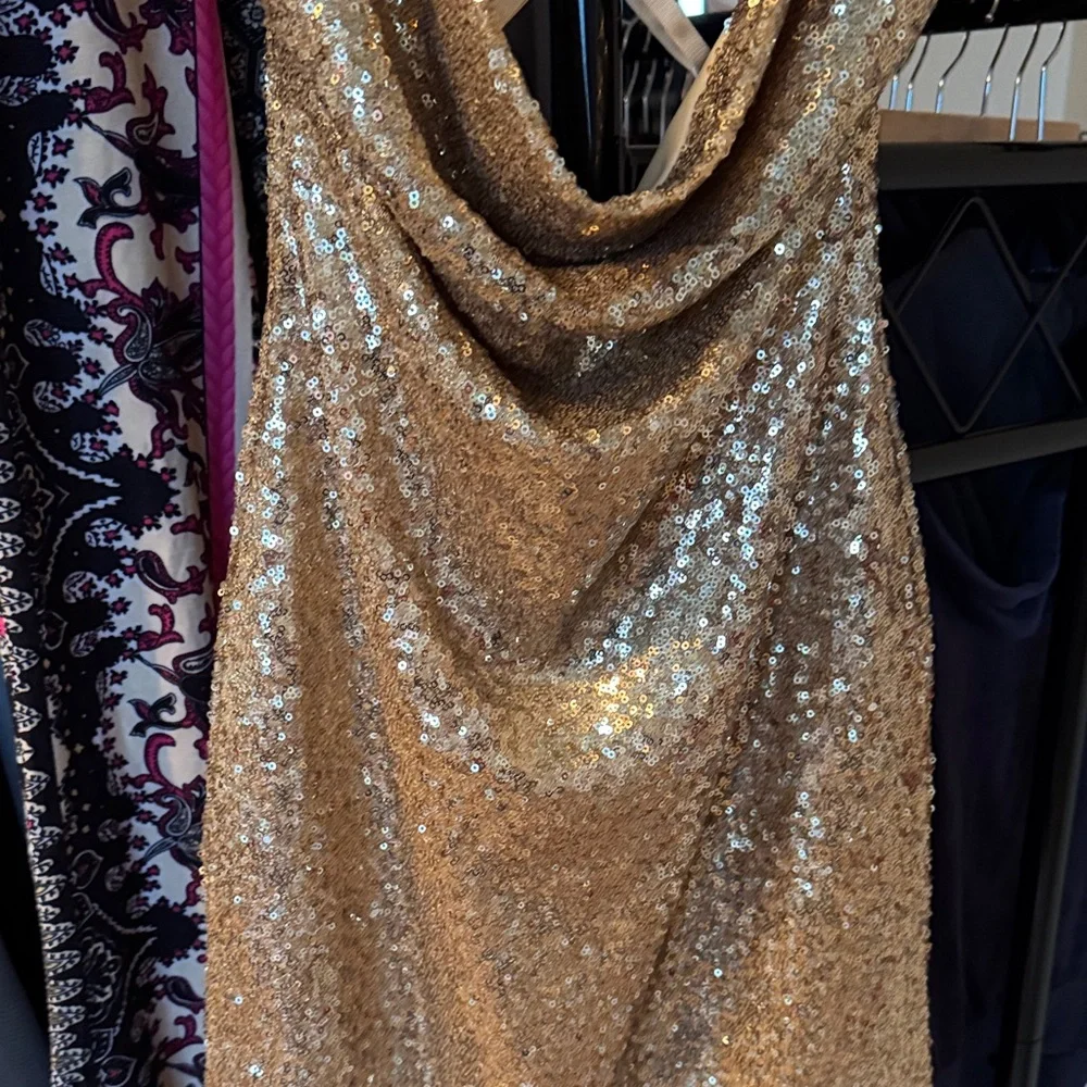 Gold Sequin Dress - Picture 3 of 9